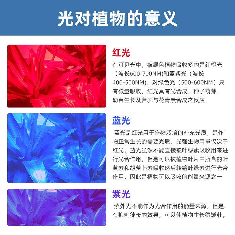 0灯.2W2835远红光珠730nm开灯花结果粒植物生长led照明贴LWT颗片