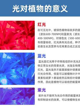 0灯.2W2835远红光珠730nm开灯花结果粒植物生长led照明贴LWT颗片