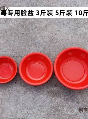 料脸盆2斤装3斤装装5斤10斤装草莓麦脸盆果脸AWK水盆草莓盆小麦太