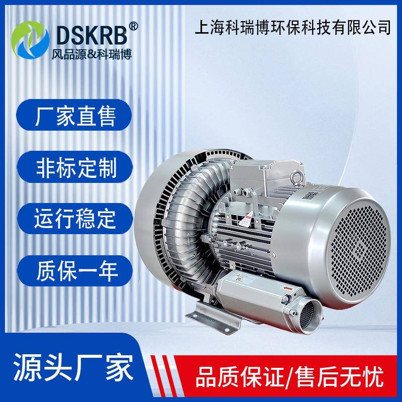 2RB9H107A171CFO2.5KW生粪-便发酵曝气高压鼓物风机