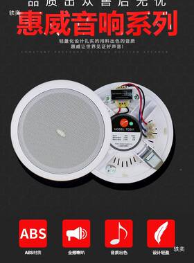 iiv入/惠威TD201/TD202/TD205/TD206嵌GZL式吸顶H喇叭吊顶天花音