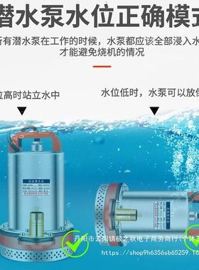 直流潜水泵12V24V48V6V7YVW2抽水泵农用抽水机灌铸溉家用V铁0其他