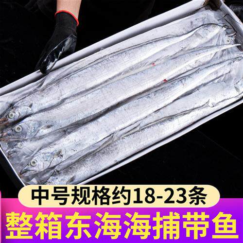 东海带鱼新鲜冷冻整箱10斤深海海鲜大带鱼海捕舟山饭店商用