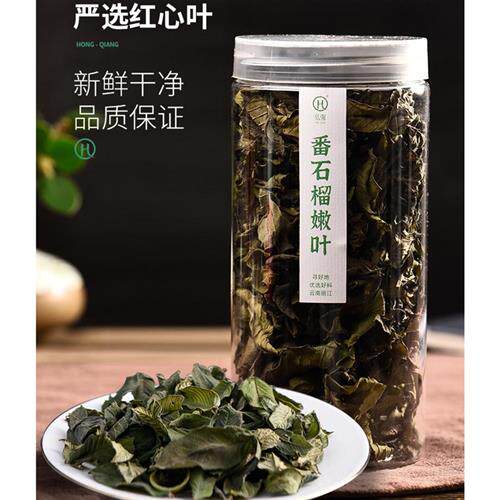 番石榴叶嫩叶芽叶云南高山野生番石榴茶番桃叶降芭乐叶子血红心糖