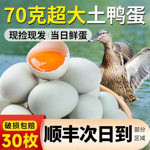 农村鸭蛋新鲜农家散养70g超大非海土鸭青壳生鸭子蛋30枚整箱