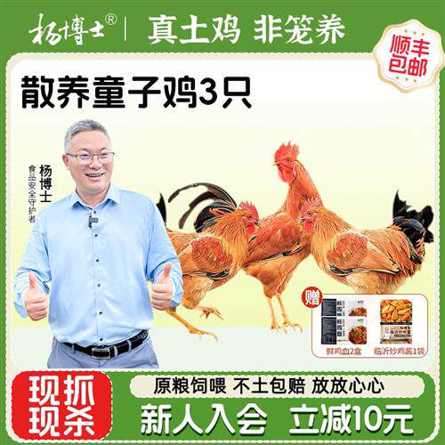 杨博士土鸡童子鸡深山散养原粮饲喂3只装新鲜整鸡现抓现杀走地鸡