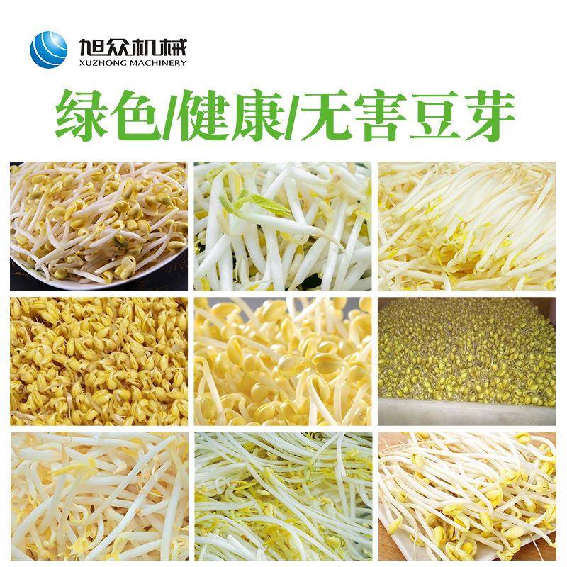大旭众商用全自动XZ60-A箱豆芽机箱机式育大容量发绿豆牙自动恒温