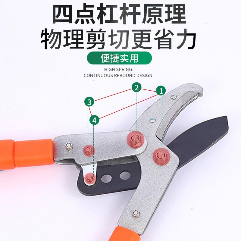 伸园艺粗缩剪耐用大ZBR力剪果树高枝剪加长园省力枝林修枝工具