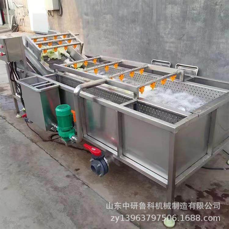 大型不锈蔬清洗机果汁厂桃番茄子清洗TPB钢设备果气泡清洗流水线