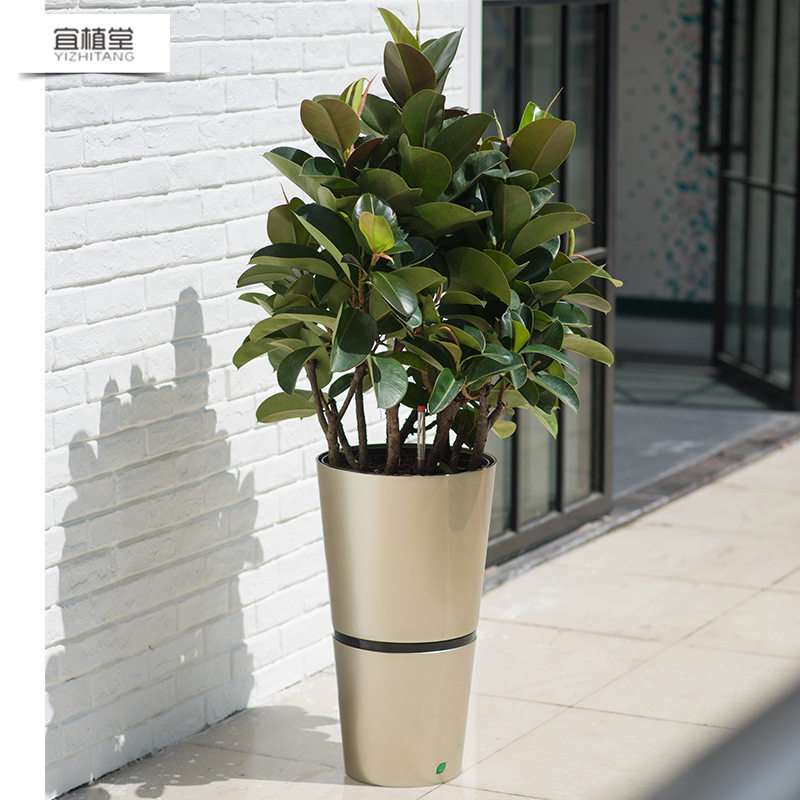 宜植堂落地客厅花盆批发塑料烤漆高圆透气创意自动吸水懒人大花盆