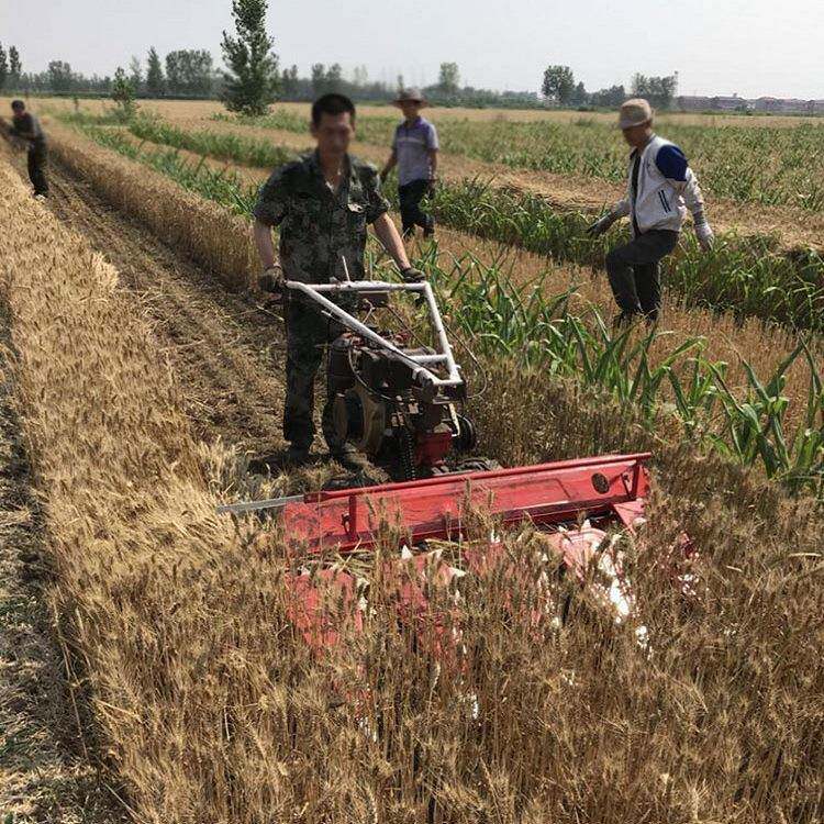 型多功能玉割晒机东工厂现货米秸小秆小麦家用汽DQN山油割倒机