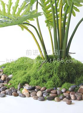 观真仿绿植造景装饰景真造景丝状苔藓草坪可户外使用仿FKH苔藓假
