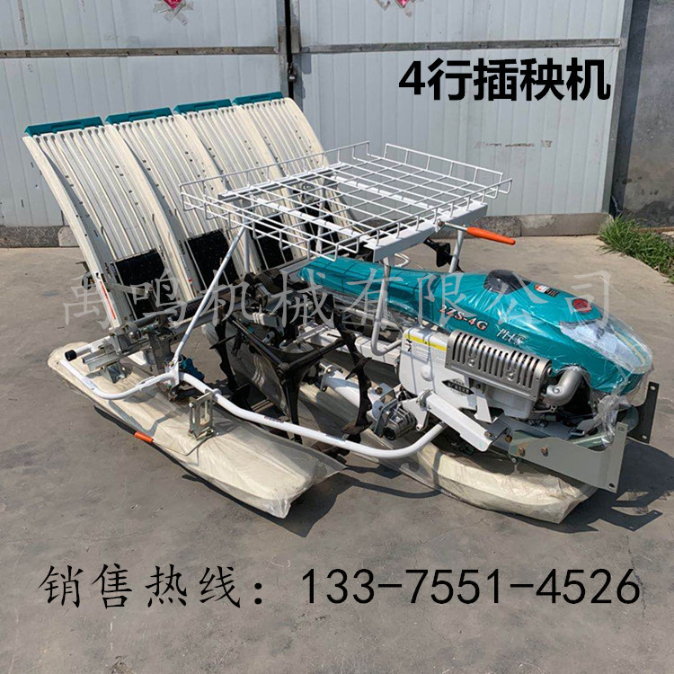种植小型机自动人力4行插秧机水稻农用手动步进式田地6行牵引