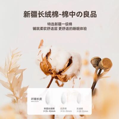 花床垫软家用垫卧室榻榻棉米学生宿舍单人BLM床褥房垫租褥子铺底