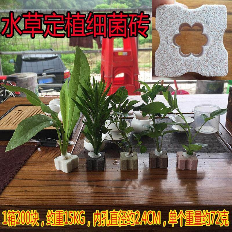 水草定植杯生化陶瓷环种植水草杯养草水草固定底座鱼缸过滤材料砖