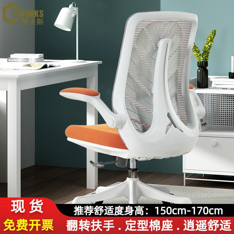 人体工学椅宿舍网椅逍遥转椅可升降职员办公椅小户型舒适款电脑椅