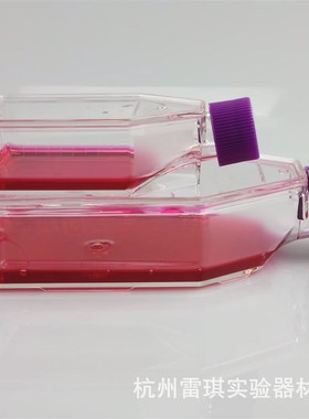 Bioland贝兰伯细胞培养瓶CCB206-025;滤膜盖;易贴壁 现货促销