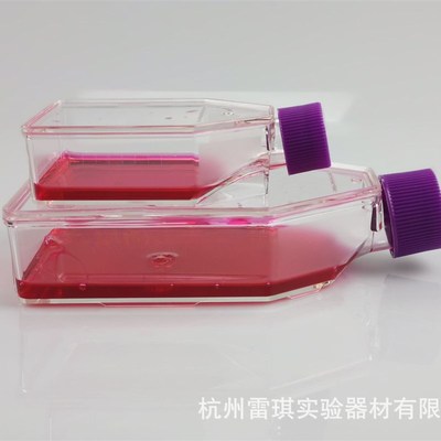 Bioland贝兰伯细胞培养瓶CCB206-025;滤膜盖;易贴壁 现货促销