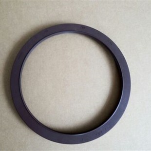 德国cfw油封 200 氟胶油封170 8.5 cfw液压马达油封