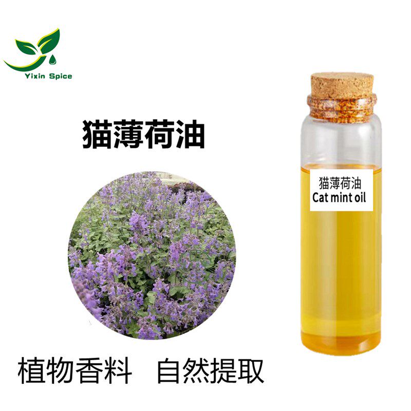 供应猫薄荷纯露k 猫薄荷草水蒸馏萃取所得 猫薄荷纯露