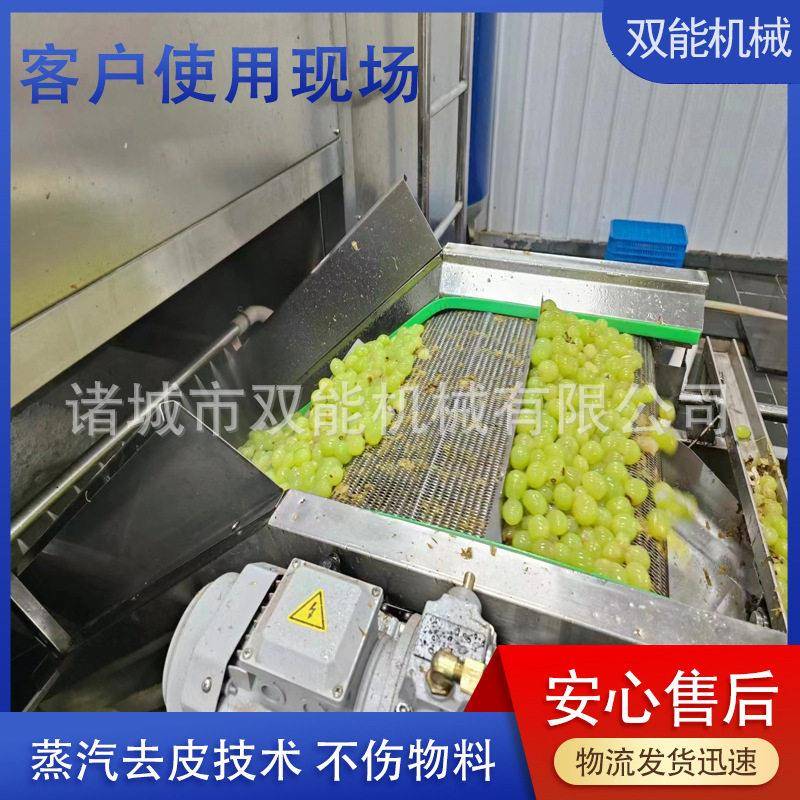 果蔬蒸汽脱皮整机黄桃葡萄食品级不锈钢物理去皮无化学添加合规