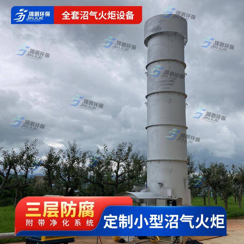 生活垃圾焚烧内燃式沼气火炬发电项目200立方不锈钢沼气火炬