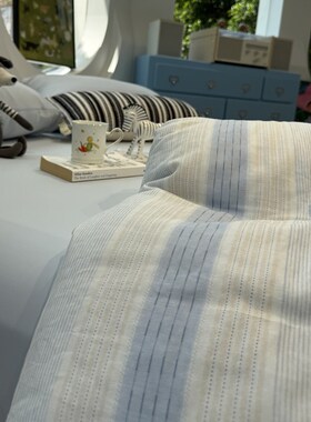 A版双层纱B版冰皮清新条纹w蓝色冰纱被夏凉被四件套双人被芯空调