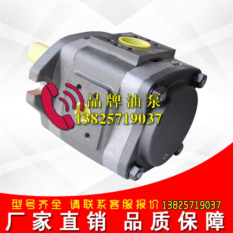 现货全新代替福伊特高压齿轮泵IPVP6-80 101液压泵IPVP6-125 101
