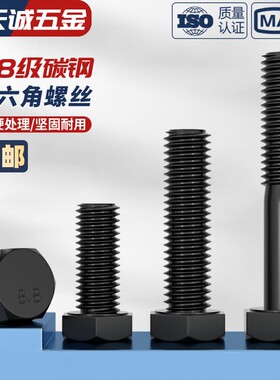 8.8级外六角螺丝钉黑色高强度加长螺栓M3M4M5M6M8M10M12M16M20-30