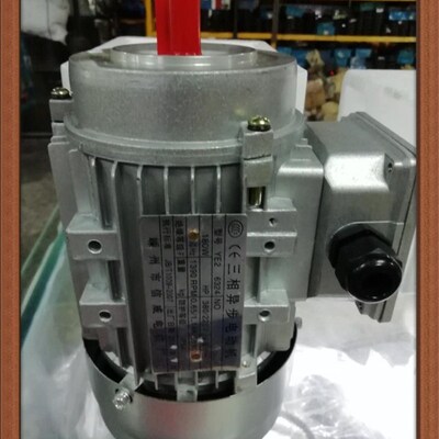 三相异步电动机 YE2 6324  180W 立式 铝壳 63B14 信威电机 轴11