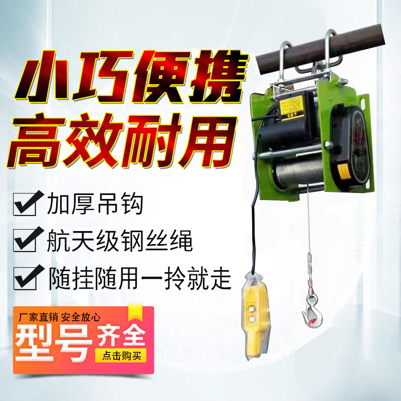 便携式吊机220V 电动葫芦悬挂家用小型提升机1吨起重机德式卷扬机