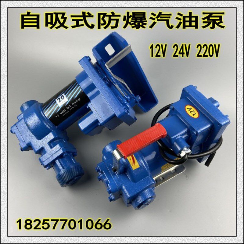 无刷防爆汽油泵小型计量12V24V220V电动抽油泵自吸泵静音电控泵