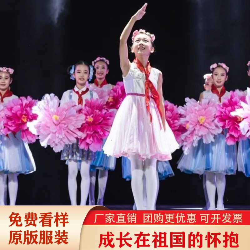 儿童演出服成长在祖国的怀抱里蓬蓬裙舞蹈合唱服第十一届小荷风采