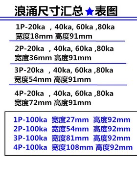 包邮浪涌保护器1P2P3P4P/20/40KA60/80/100ka避雷电涌突波SPD防雷