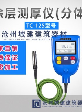 两用型涂层测厚仪TC-125 镀层测厚仪 0~4000um 耐用红宝石探头
