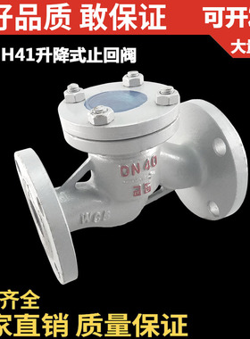 铸钢法兰式升降止回阀H41H-16C法兰单向逆止阀硬密封水平卧式安装