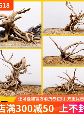 鱼缸造景沉木小号栖根杜鹃根造型树根一木成景小草缸专用莫斯树桩