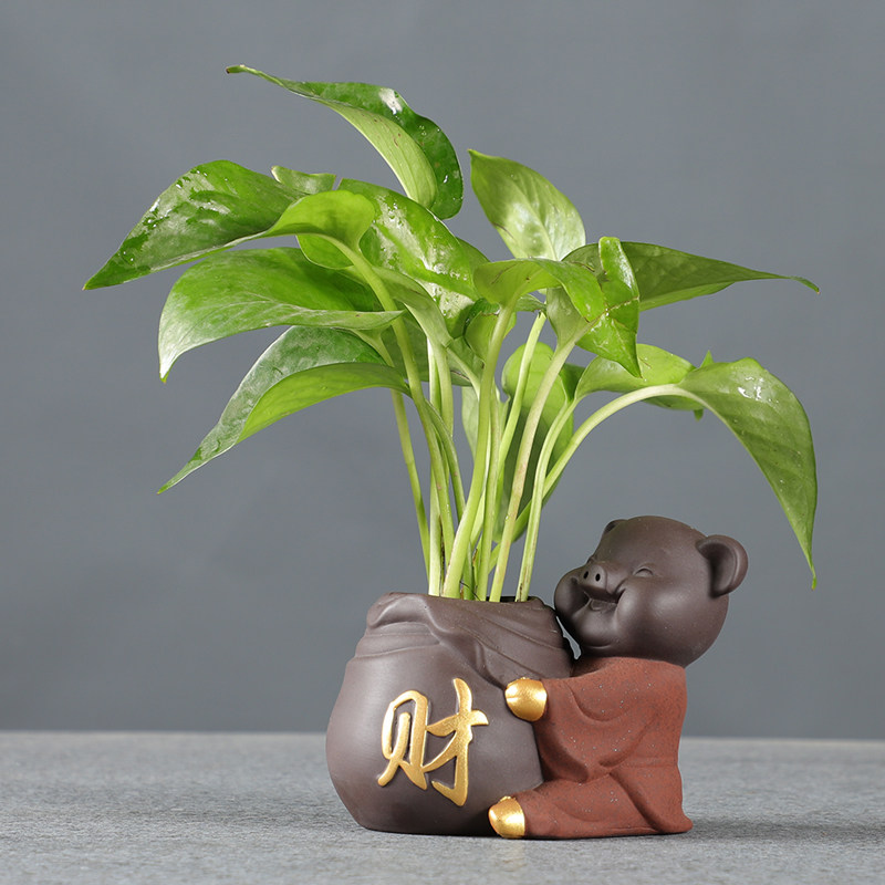创意陶瓷彩砂招财猪水培小花器花盆禅意茶宠插花花器摆件桌面摆件