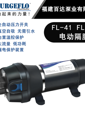 FL-43 110V 220V交流家用抽水隔膜自吸泵微型自来水管道增压水泵