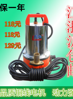 12V24V48V直流潜水泵/电动车水泵/潜水泵电瓶水泵/48v水泵抽水机