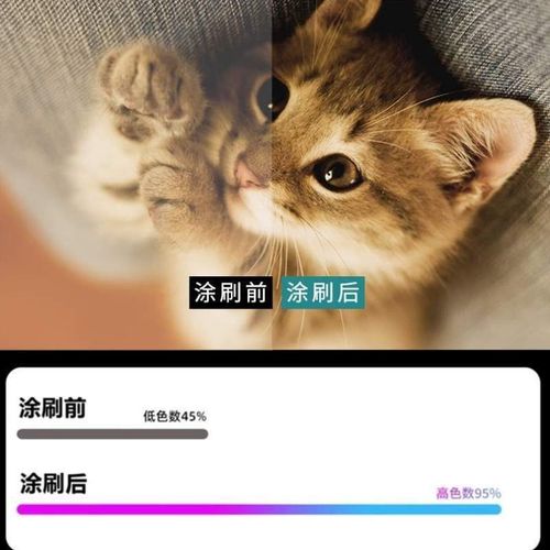 展会幕布投影漆抗光涂料投影幕布影院漆高清漆级墙漆投影