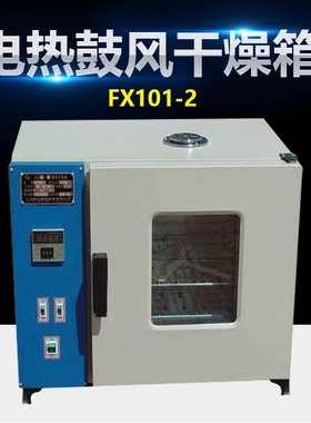 FX101-2 电热鼓风干燥箱 山东地区鼓风干燥箱 电热烘箱