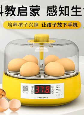 孵蛋器芦丁鸡小鸡孵化器小型家用儿童孵化机水床鹦鹉全自动孵化箱