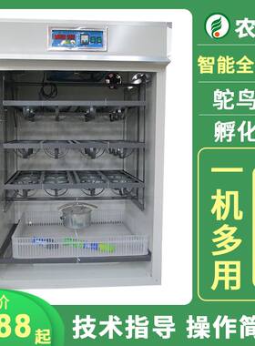 全自动工业孵化机可孵化鸵鸟蛋鸽子孔雀卵化机家禽养殖智能孵蛋器