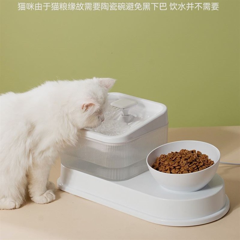 猫咪饮水机猫咪喝水器流动宠物恒温加热饮水器自动循环狗狗喝水器