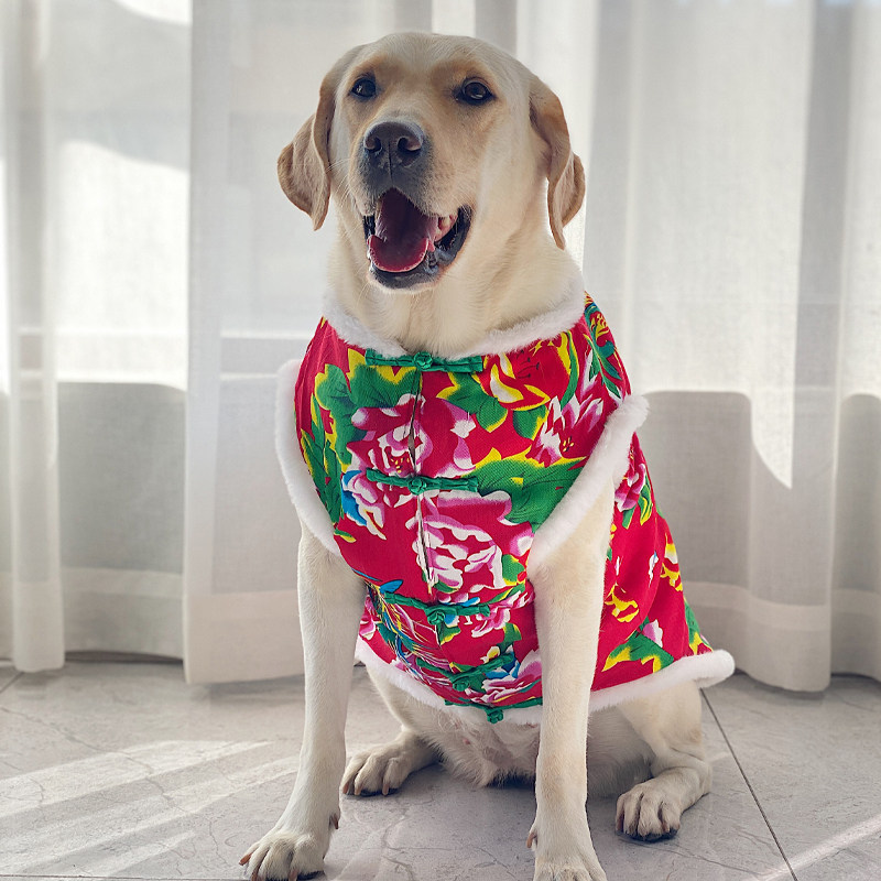 大型犬棉衣拉布拉多金毛新年加厚衣服网红狗狗大型犬保暖喜庆衣服