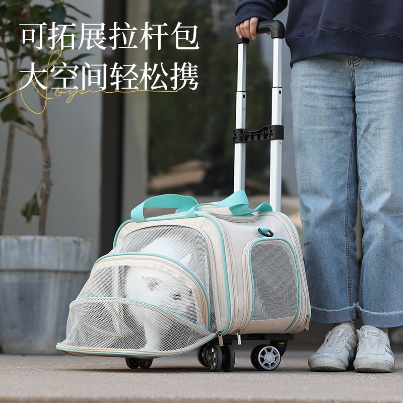 猫包外出便携猫咪背包可拓展扩展狗狗外带大容量防应激宠物太空舱