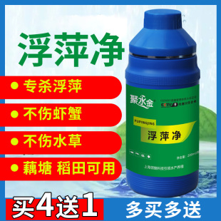 浮萍一扫光水产养殖浮萍清楚剂虾蟹鱼塘不伤水草浮萍一喷灵浮萍净