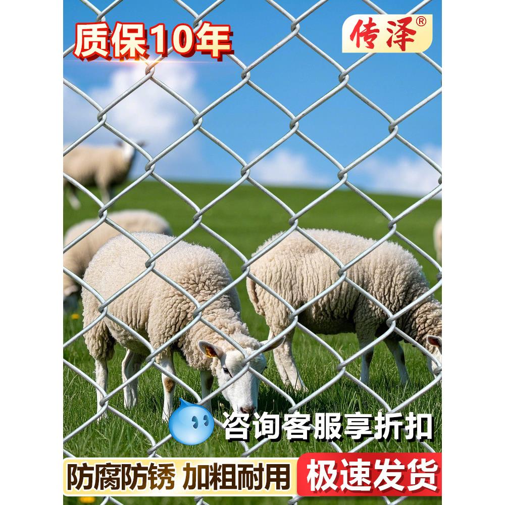 热镀锌钢丝网勾花铁丝网围栏网养殖护栏网养鸡圈牛羊菱形防护围网