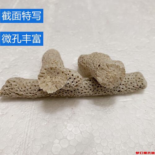 珊瑚骨珊瑚砂珊瑚石稳定鱼缸水质PH天然K水族箱过滤材料 3斤起